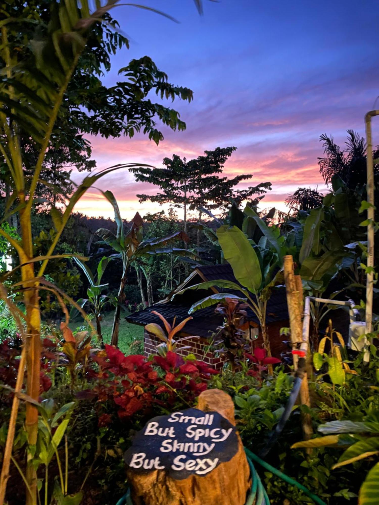 Serenity Lodge Tetebatu Lombok Eksteriør billede