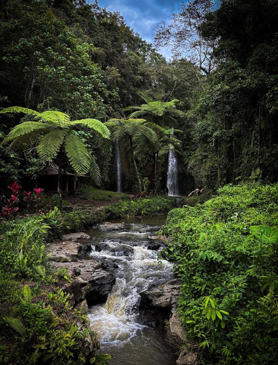 Serenity Lodge Tetebatu Lombok Eksteriør billede